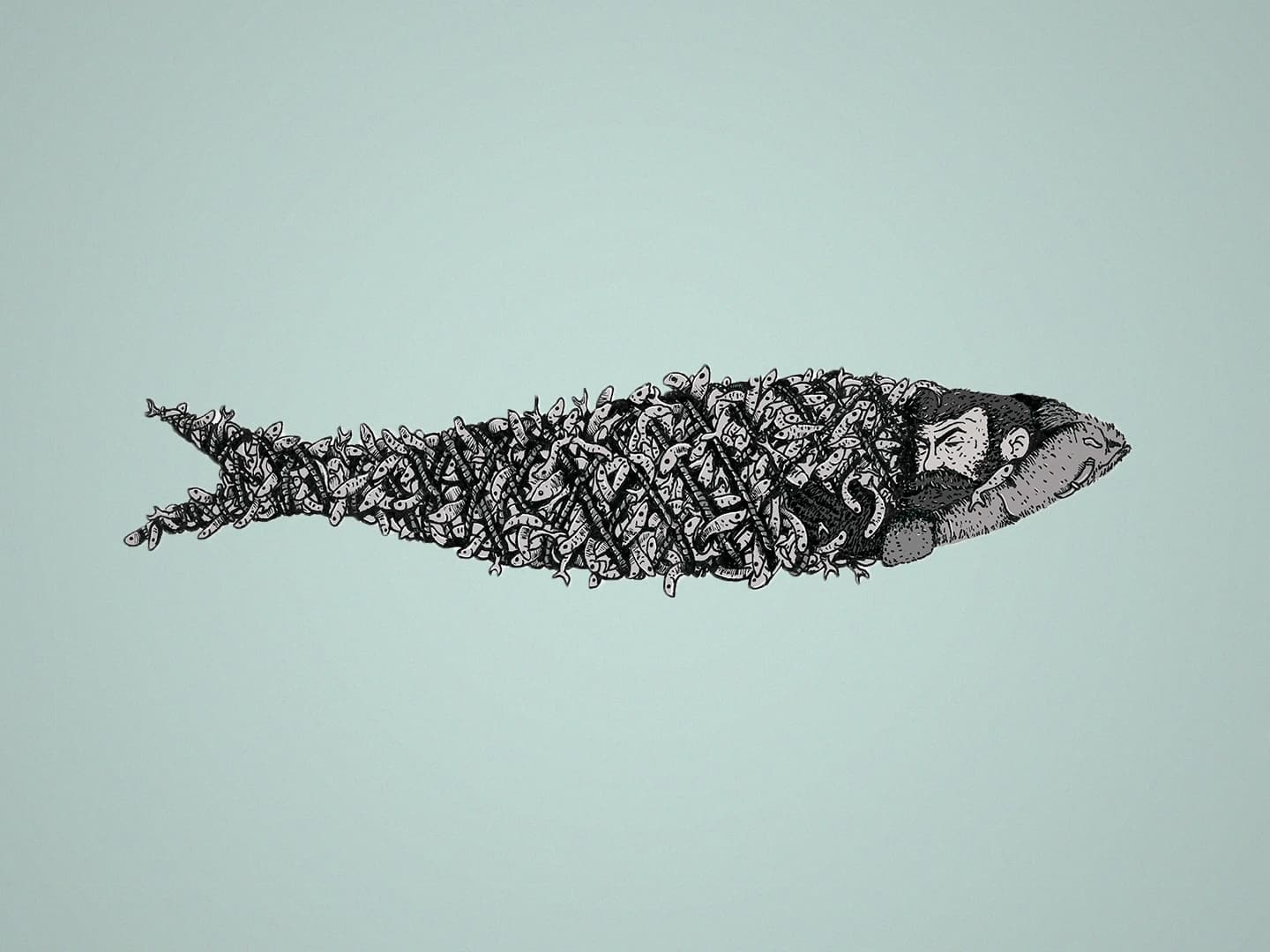 Sardine Fishing